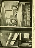 An illustration from History of ancient pottery: Greek, Etruscan, and Roman (1905)