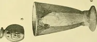 An illustration from History of ancient pottery: Greek, Etruscan, and Roman (1905)