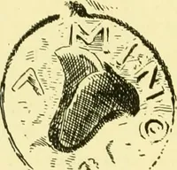 An illustration from History of ancient pottery: Greek, Etruscan, and Roman (1905)