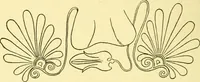 An illustration from History of ancient pottery: Greek, Etruscan, and Roman (1905)