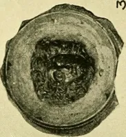 An illustration from History of ancient pottery: Greek, Etruscan, and Roman (1905)
