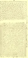 An illustration from History of ancient pottery: Greek, Etruscan, and Roman (1905)