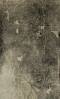 An illustration from History of art (1921)