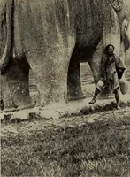 An illustration from History of art (1921)