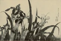 An illustration from History of art (1921)
