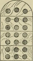 An illustration from A history of architecture in Italy from the time of Constantine to the dawn of the renaissance (1901)