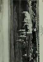 Picture 114 of 390 from A History of art (1922), leaf 263