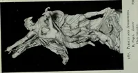Picture 179 of 390 from A History of art (1922), leaf 401