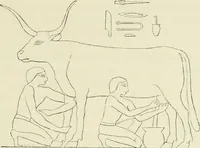 Picture 33 of 250 from A history of art in ancient Egypt (1883), leaf 122