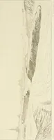 Picture 69 of 250 from A history of art in ancient Egypt (1883), leaf 186