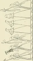 An illustration from A history of art in ancient Egypt (1883)