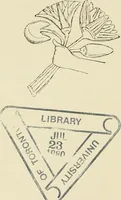 Picture 250 of 250 from A history of art in ancient Egypt (1883), leaf 539