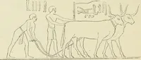 Picture 7 of 250 from A history of art in ancient Egypt (1883), leaf 87