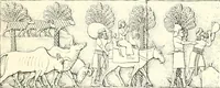 Picture 24 of 156 from A history of art in Chaldæa & Assyria (1884), leaf 132