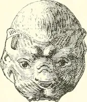 An illustration from A history of art in Chaldæa & Assyria (1884)