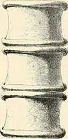 Picture 52 of 156 from A history of art in Chaldæa & Assyria (1884), leaf 207