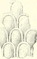 An illustration from A history of art in Chaldæa & Assyria (1884)