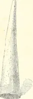 Picture 96 of 156 from A history of art in Chaldæa & Assyria (1884), leaf 302