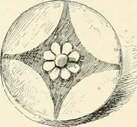 Picture 97 of 156 from A history of art in Chaldæa & Assyria (1884), leaf 313