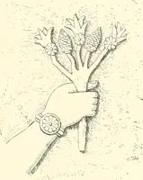 Picture 108 of 156 from A history of art in Chaldæa & Assyria (1884), leaf 328