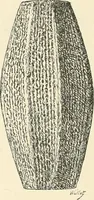 Picture 122 of 156 from A history of art in Chaldæa & Assyria (1884), leaf 343
