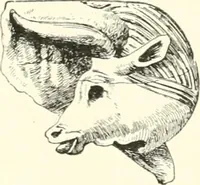 An illustration from A history of art in Chaldæa & Assyria (1884)