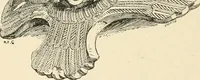 An illustration from A history of art in Chaldæa & Assyria (1884)