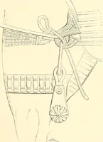 An illustration from A history of art in Chaldæa & Assyria (1884)