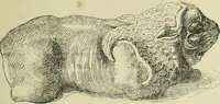 Picture 57 of 264 from History of art in Sardinia, Judaea, Syria, and Asia Minor (1890), leaf 136