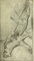 Picture 92 of 264 from History of art in Sardinia, Judaea, Syria, and Asia Minor (1890), leaf 190