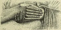 An illustration from History of art in Sardinia, Judaea, Syria, and Asia Minor (1890)
