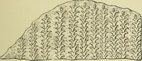 Picture 129 of 264 from History of art in Sardinia, Judaea, Syria, and Asia Minor (1890), leaf 254