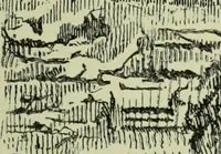 An illustration from History of art in Sardinia, Judaea, Syria, and Asia Minor (1890)