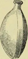 An illustration from History of art in Sardinia, Judaea, Syria, and Asia Minor (1890)