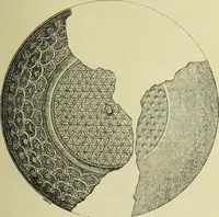 An illustration from History of art in Sardinia, Judaea, Syria, and Asia Minor (1890)