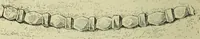 Picture 240 of 264 from History of art in Sardinia, Judaea, Syria, and Asia Minor (1890), leaf 393