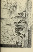 An illustration from History of art in Sardinia, Judaea, Syria, and Asia Minor (1890)