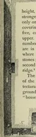 An illustration from History of art in Sardinia, Judaea, Syria, and Asia Minor (1890)