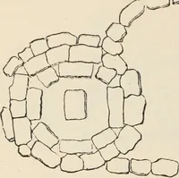 An illustration from History of art in Sardinia, Judaea, Syria, and Asia Minor (1890)