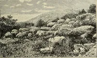 An illustration from History of art in Sardinia, Judaea, Syria, and Asia Minor (1890)