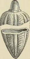 An illustration from History of art in Sardinia, Judaea, Syria, and Asia Minor (1890)