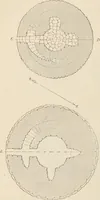 An illustration from History of art in Sardinia, Judaea, Syria, and Asia Minor (1890)