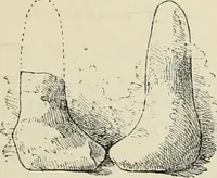 An illustration from History of art in Sardinia, Judaea, Syria, and Asia Minor (1890)