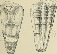 An illustration from History of art in Sardinia, Judaea, Syria, and Asia Minor (1890)