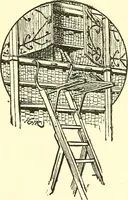 Picture 61 of 151 from A history of the art of bookbinding. With some account of the books of the ancients (1894), leaf 164