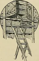 An illustration from A history of the art of bookbinding : with some account of the books of the ancients (1894)