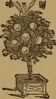 An illustration from A history of the art of magic : containing anecdotes, explanation of tricks and a sketch of the life of Alexander Hermann (1887)
