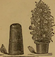 An illustration from A history of the art of magic : containing anecdotes, explanation of tricks and a sketch of the life of Alexander Hermann (1887)