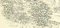 An illustration from The history of Brighouse, Rastrick, and Hipperholme; with monorial notes on Coley, Lightcliffe, Northowram, Shelf, Fixby, Clifton and Kirklees (1893)