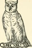 An illustration from The history of Brighouse, Rastrick, and Hipperholme; with monorial notes on Coley, Lightcliffe, Northowram, Shelf, Fixby, Clifton and Kirklees (1893)